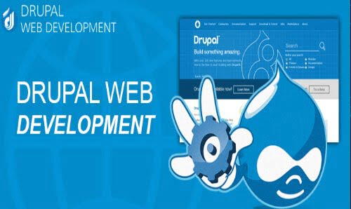 Drupal Web development